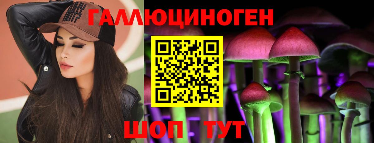 Зеленодольск  Псилоцибиновые грибы GOLDEN TEACHER  Вход с VPN  Псилоцибиновые грибы мухоморы 